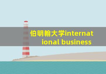 伯明翰大学international business